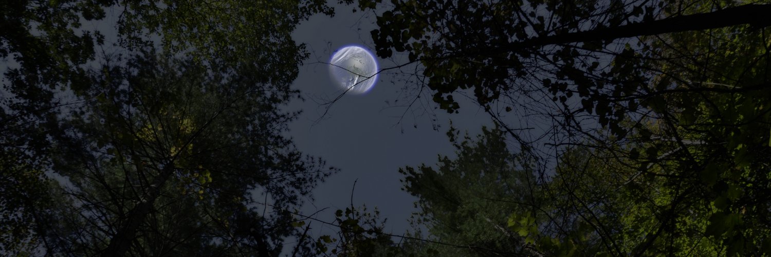 Ittizint's profile banner image