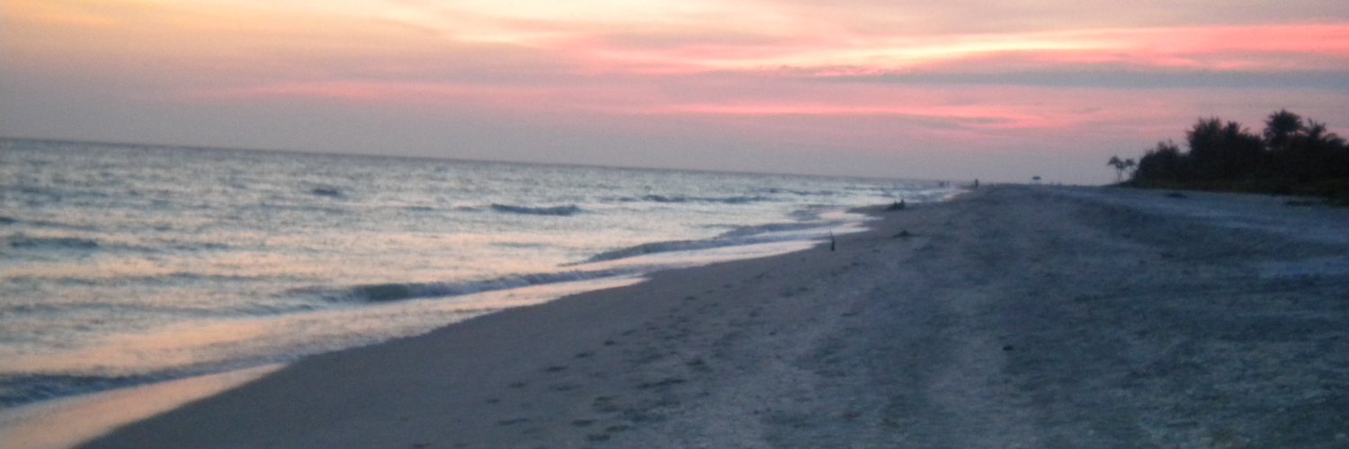FabriniMann's profile banner image
