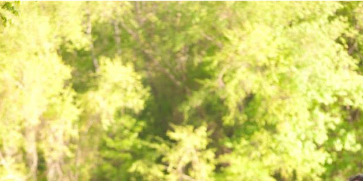 KCwetna's profile banner image