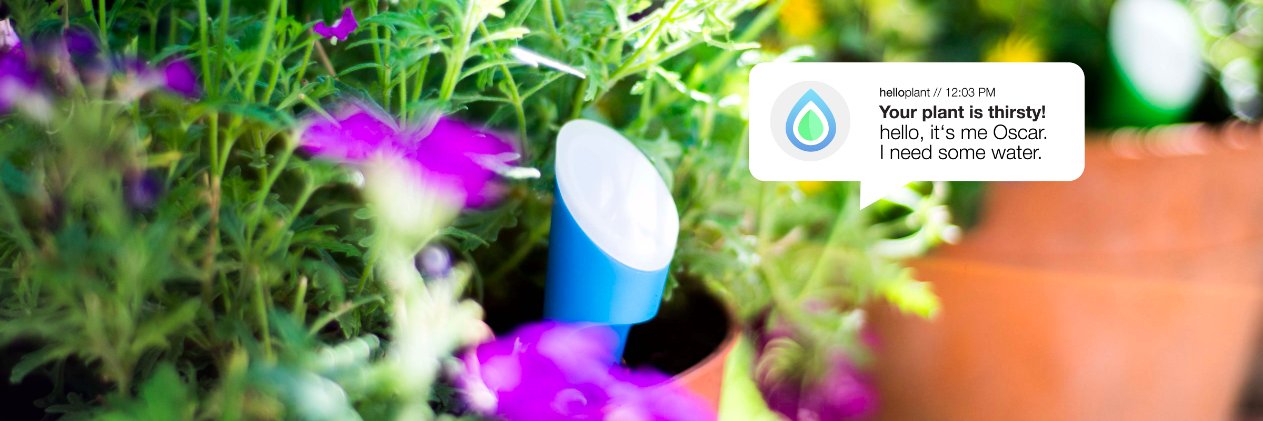 helloplant_'s profile banner image
