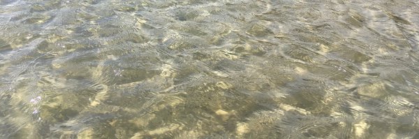 _stevenanderson Profile Banner