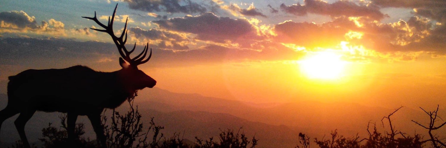 ld_field's profile banner image
