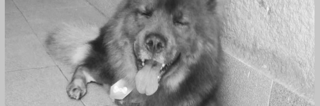 WagnrS's profile banner image