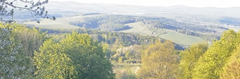 jamal ALrasheedy banner