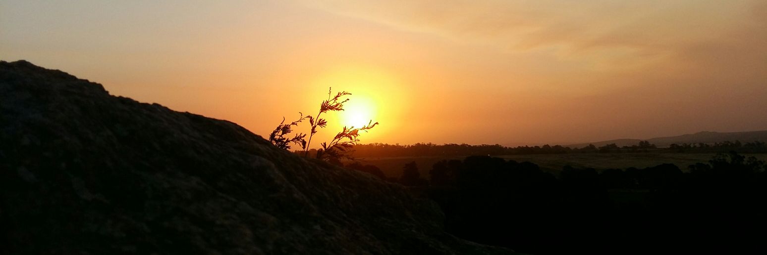 marcelodetandil's profile banner image