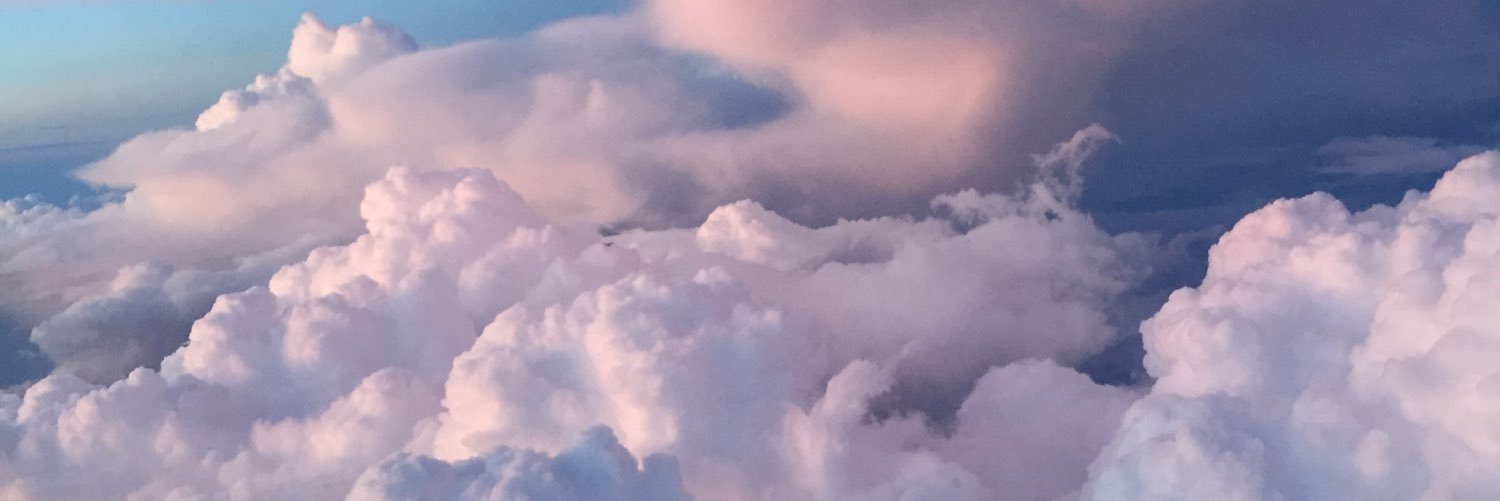 Bridget Billups banner