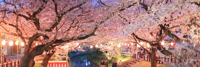 RuairiNotRory banner