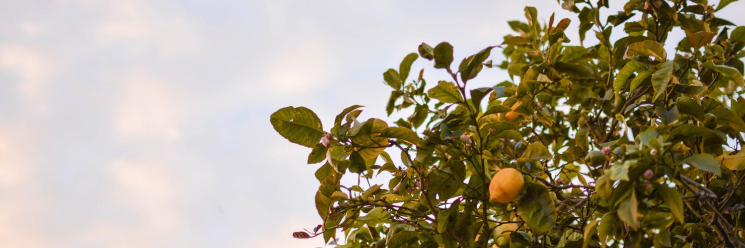 celia_glenn's profile banner image