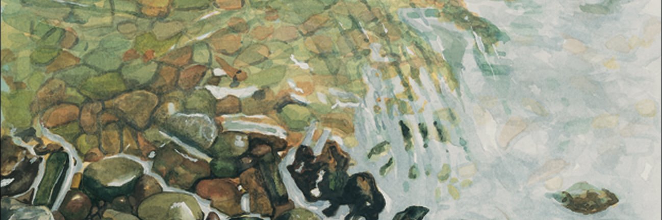 daveabbottart's profile banner image
