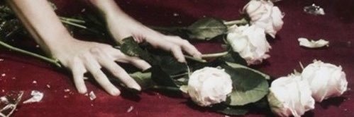 KathWranovich's profile banner image