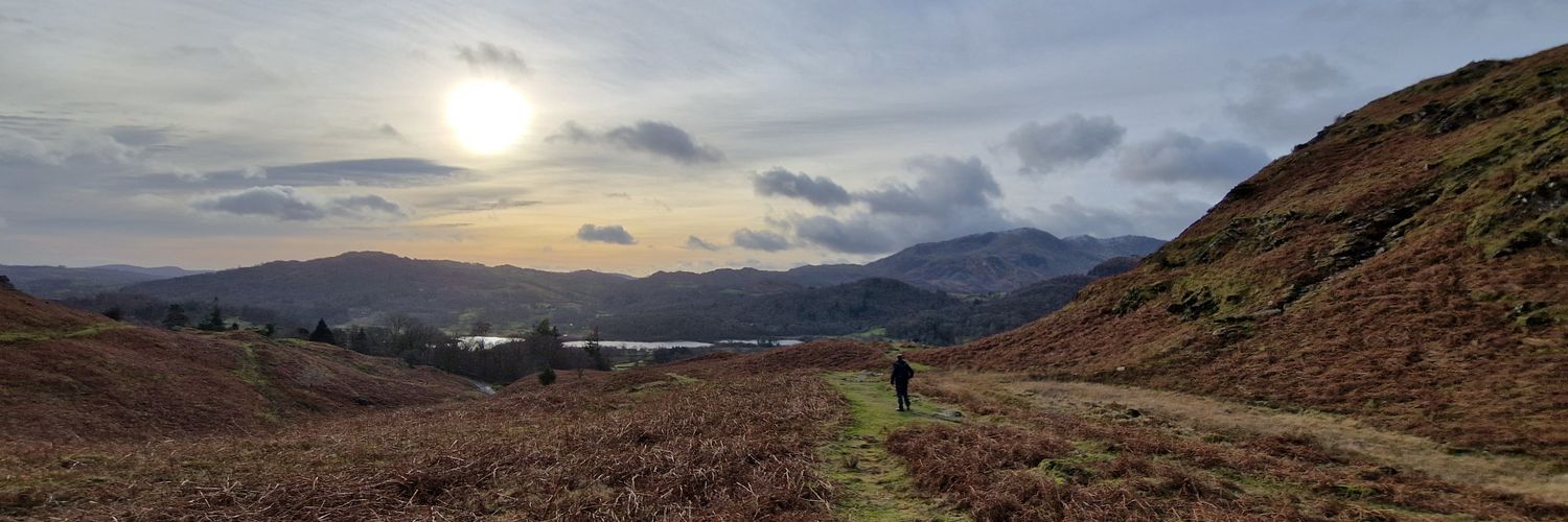 Helena Handcart banner