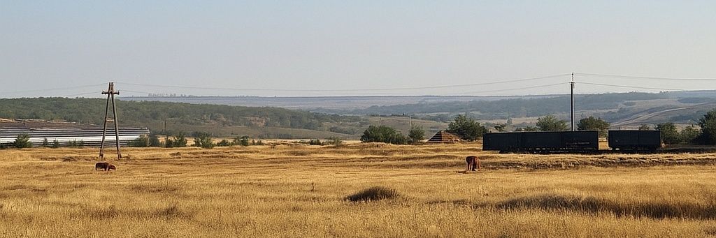 Експертка з усього banner