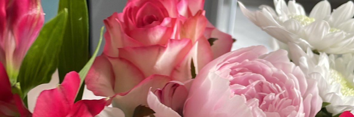 mathildeboddaer's profile banner image