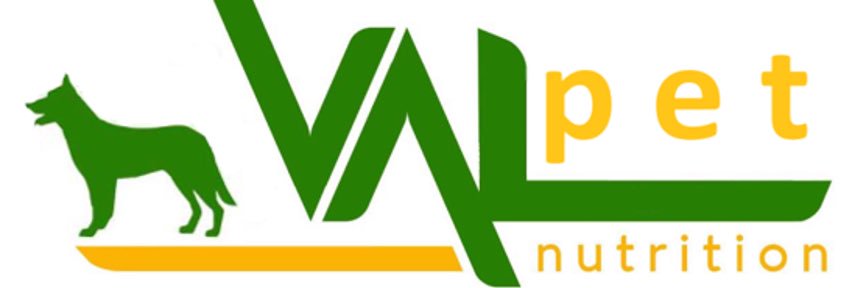 NoeValenciaDel's profile banner image