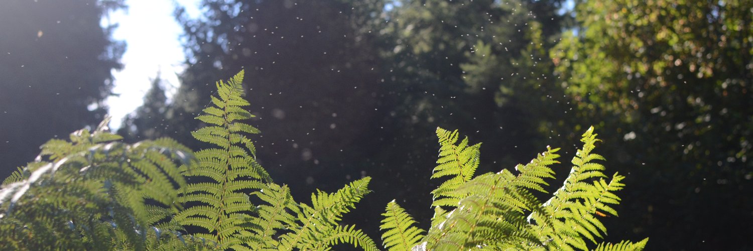 Tanja Ulianova👩🏻‍💻🇺🇦 banner