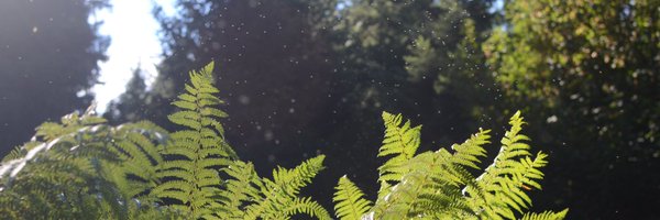 techtanja Profile Banner