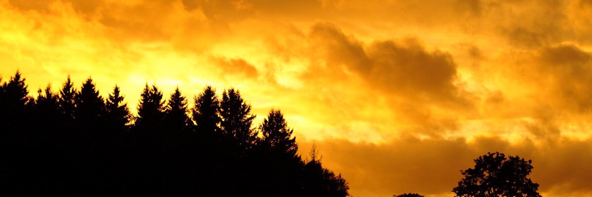 litttliz's profile banner image