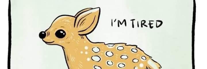 Brook banner