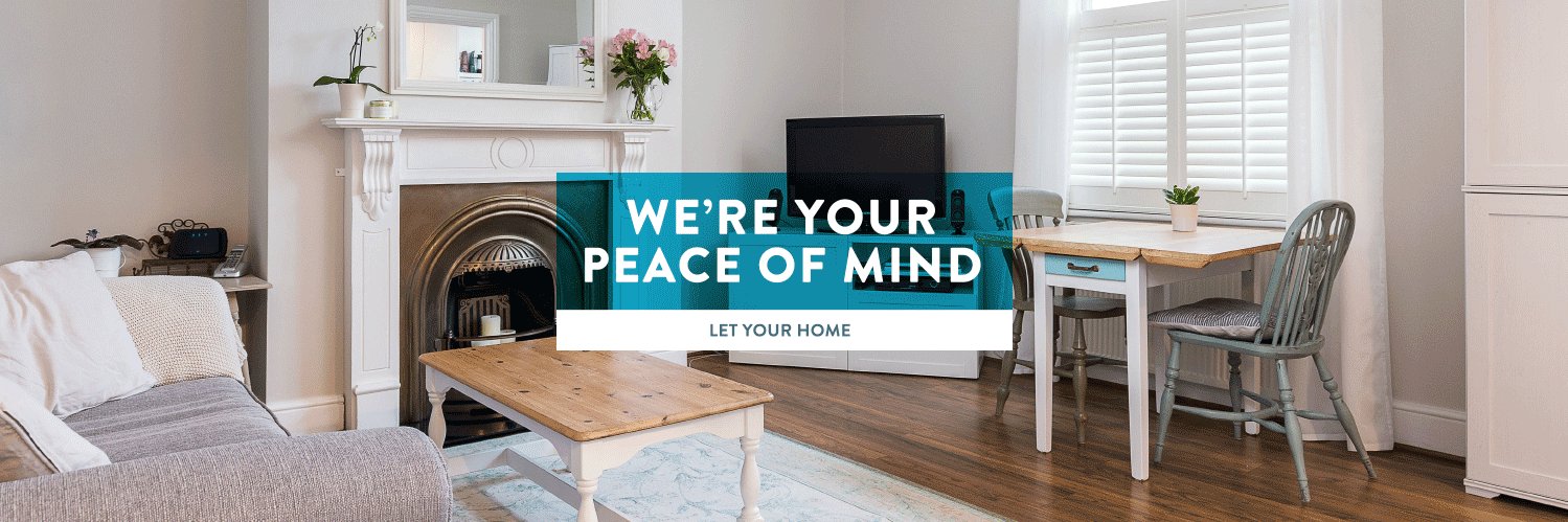SwiftLettings's profile banner image