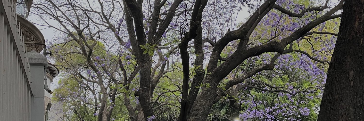 vanessmur's profile banner image