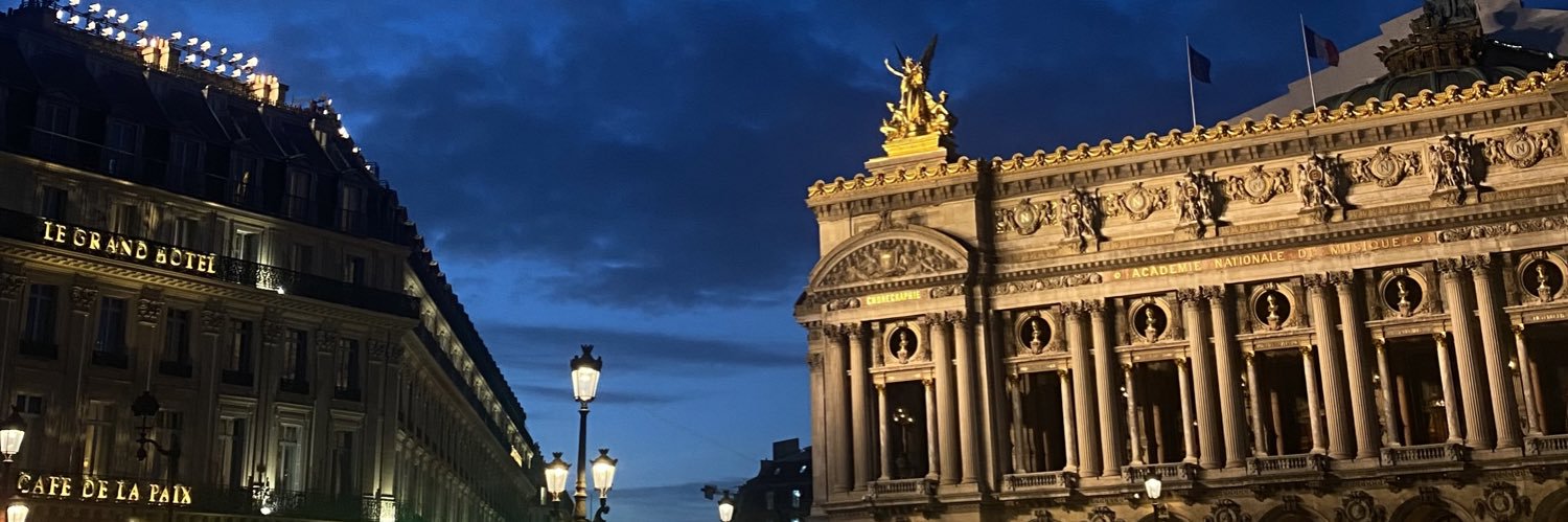 DelauneyNicolas's profile banner image
