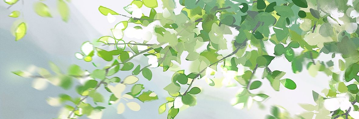 ThomFel's profile banner image