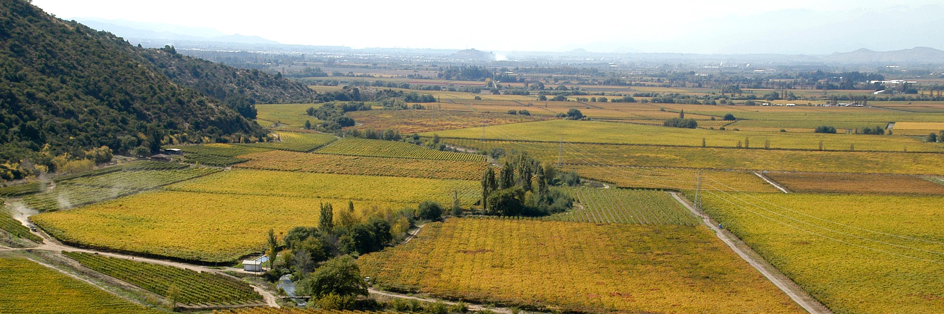 SanPedroWines's profile banner image