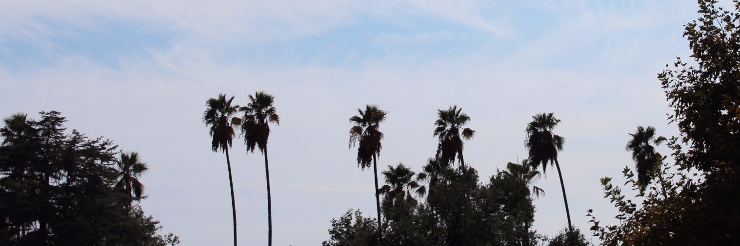 kcaragher20's profile banner image