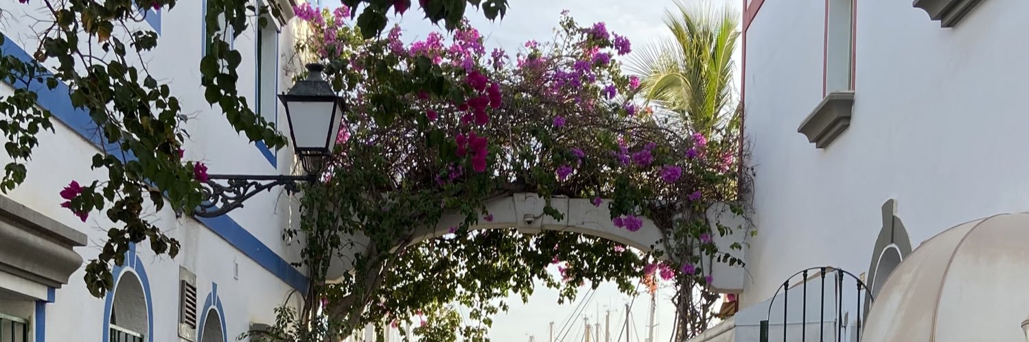 Dr. Fiona Lyons banner