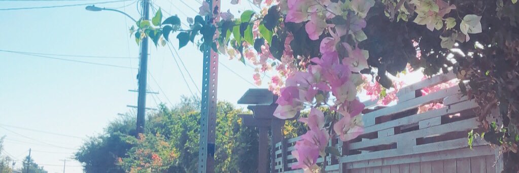 Empesch's profile banner image