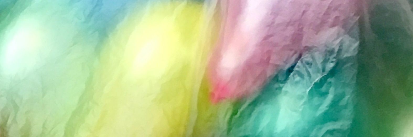 flukechicle's profile banner image