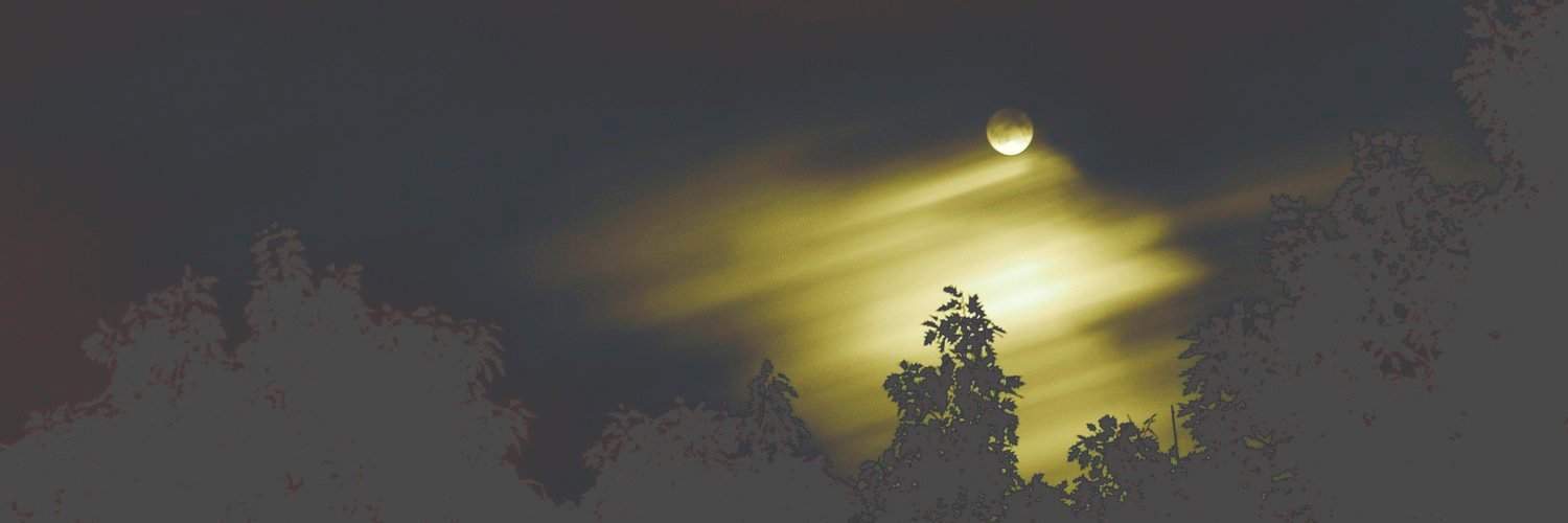 Alxzchi_'s profile banner image