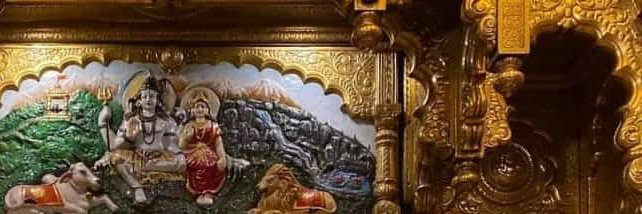 tsachhar's profile banner image