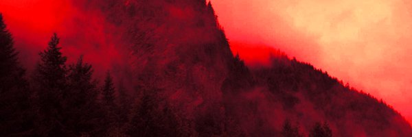 XeQuinPasme Profile Banner