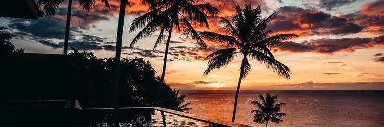 t• banner