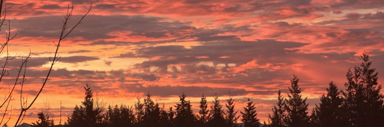 skriptedtv's profile banner image