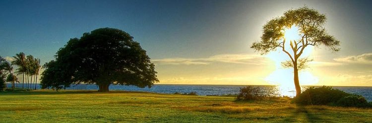 _MELAD_28's profile banner image