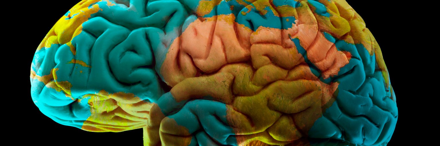 🧠 Neurociencia Colombia banner