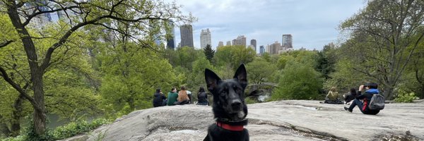 knhardison Profile Banner