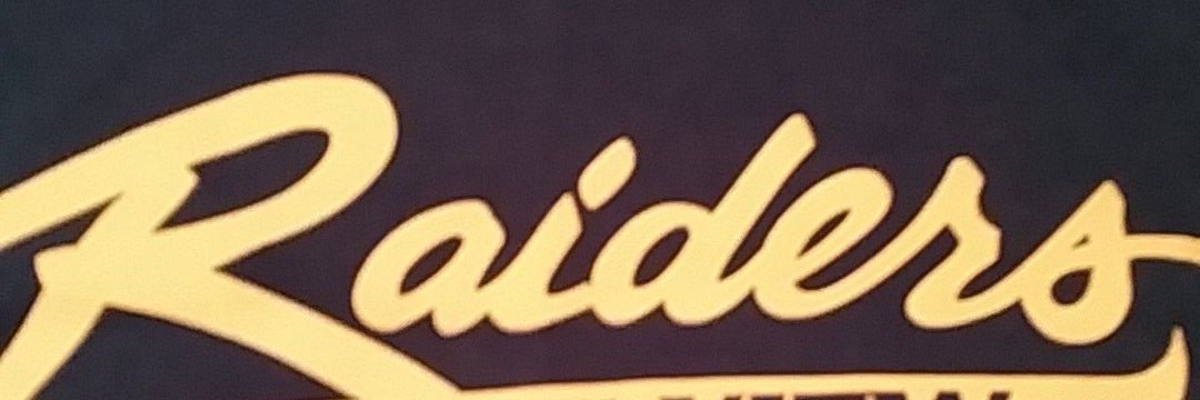 LVEraiderPE's profile banner image