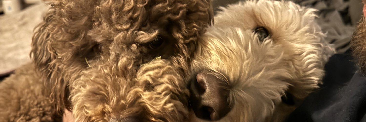 MadiHammond4's profile banner image