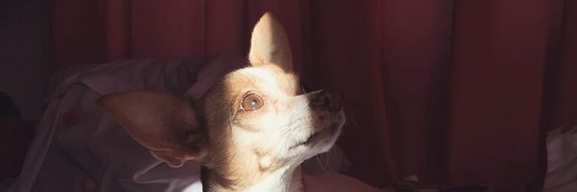 catybenavides's profile banner image