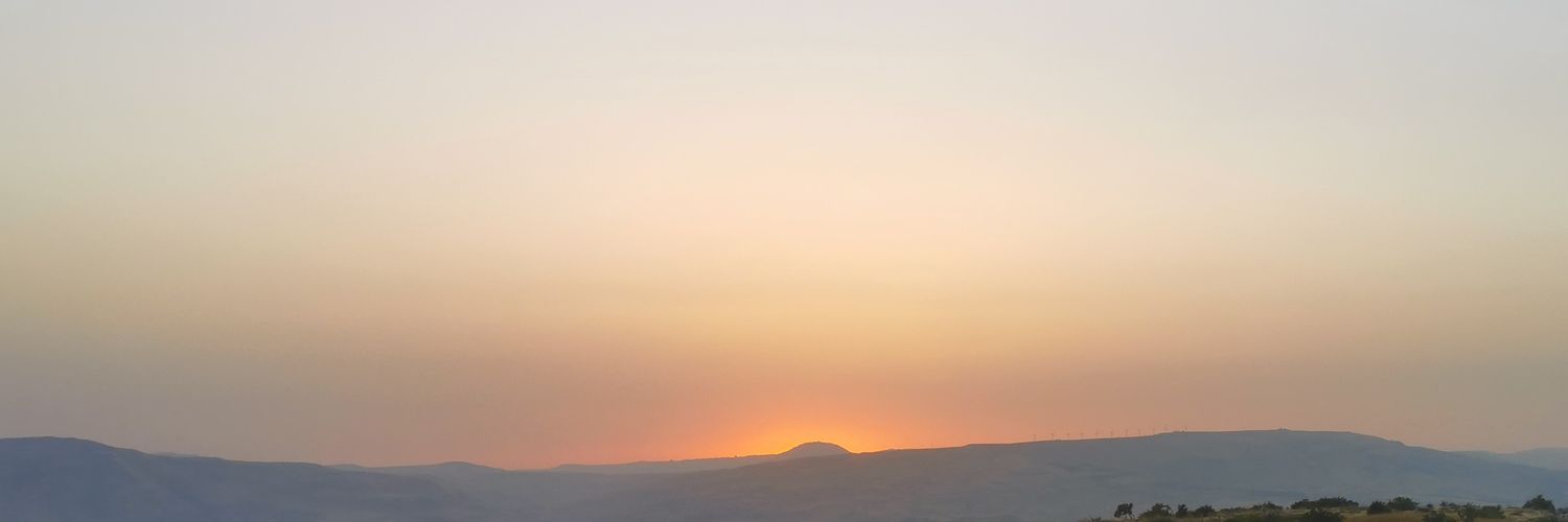 delpieroqu banner