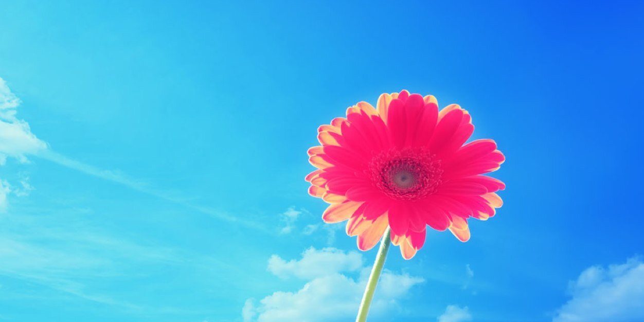 allorens00's profile banner image