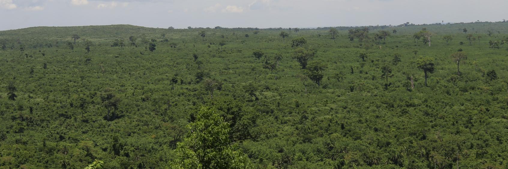 Environmental Alert banner