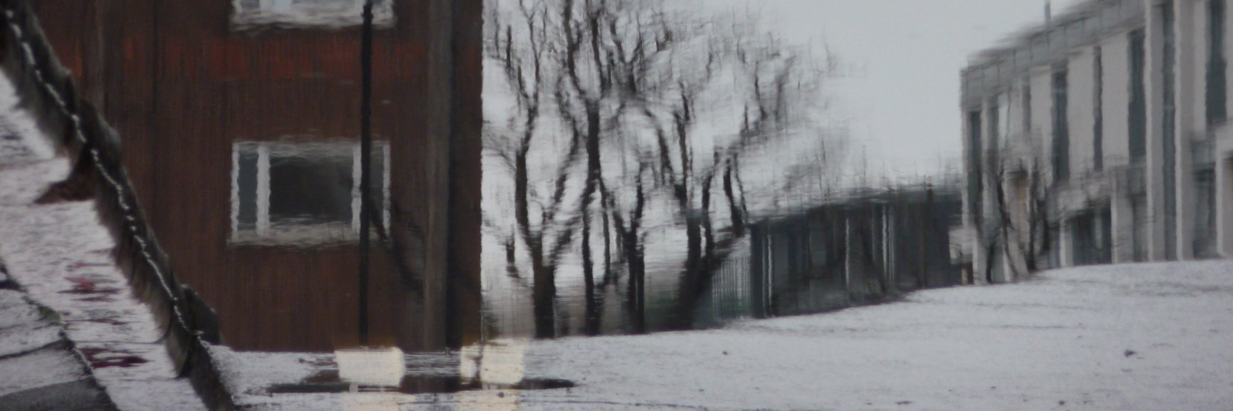 Therese Henningsen banner