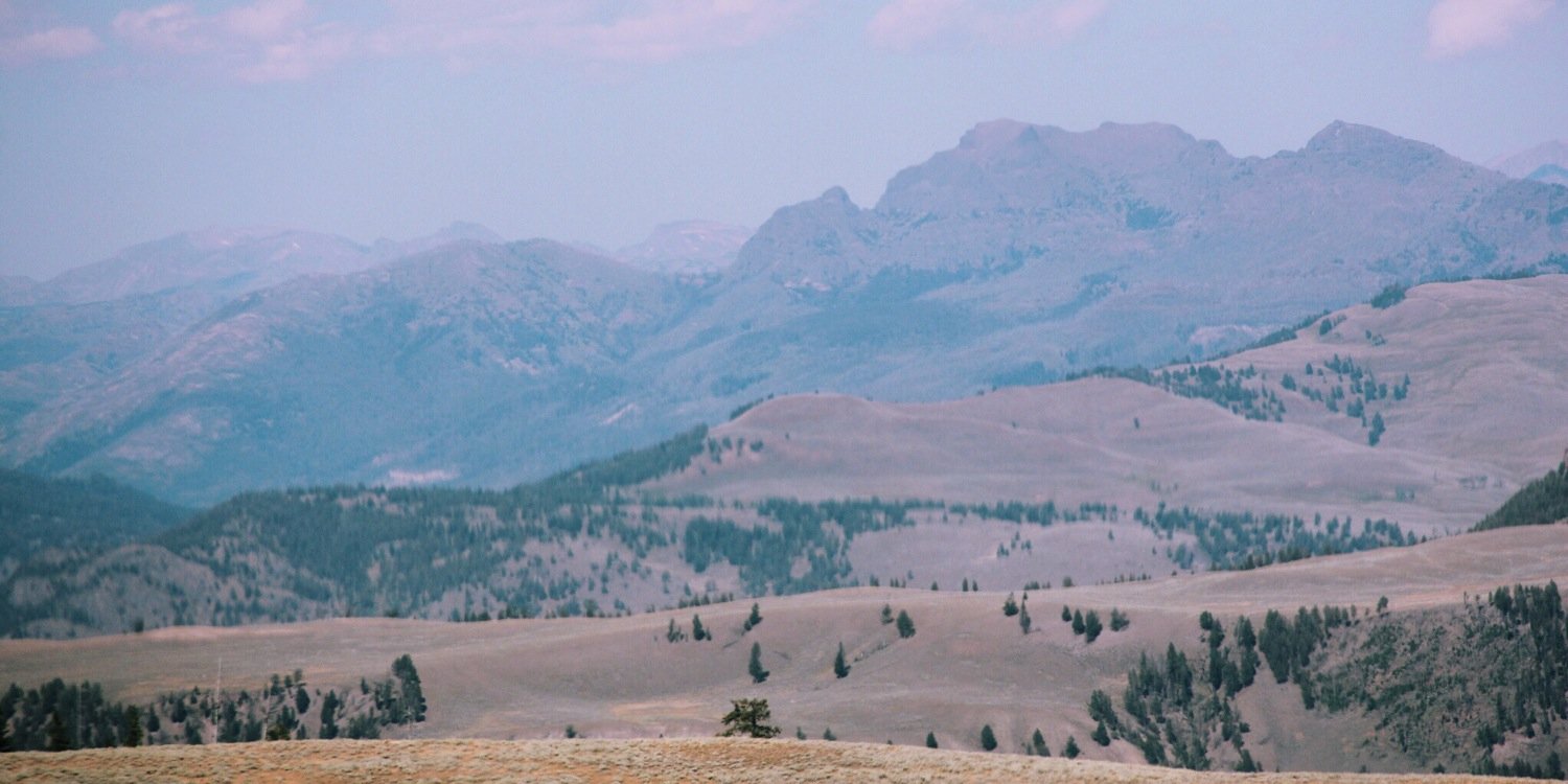 SleepingInClass's profile banner image