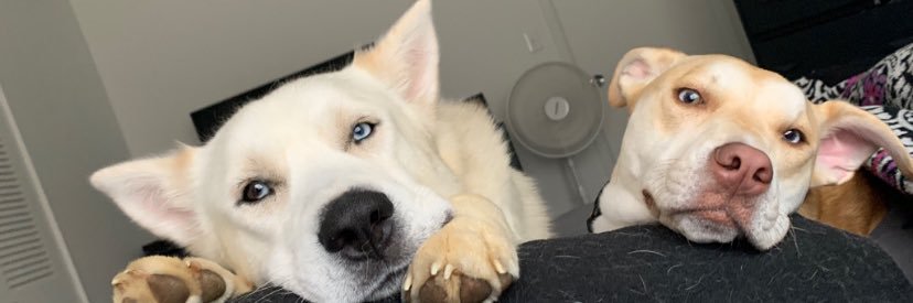 CassieLS97's profile banner image
