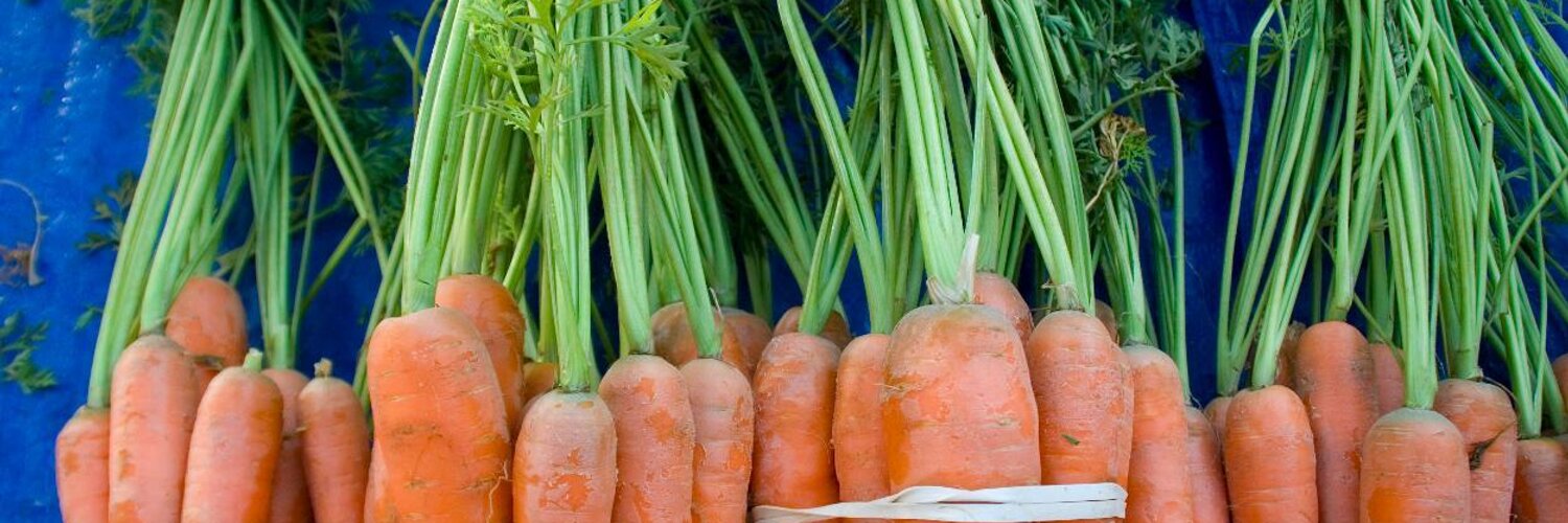 Scott Leibfried (@ScottLeibfried) | Twitter