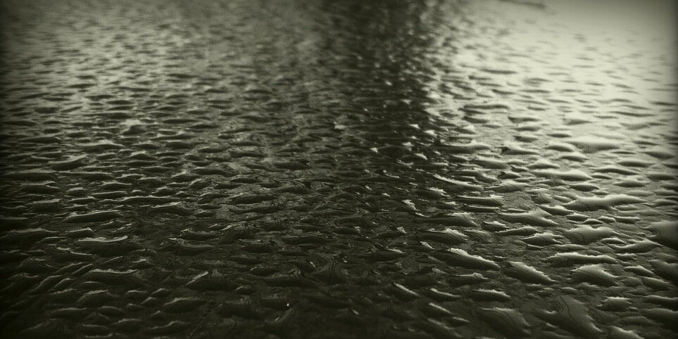 Chris Campbell banner